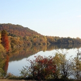 Herbst 2012 009 : Rosarium am See